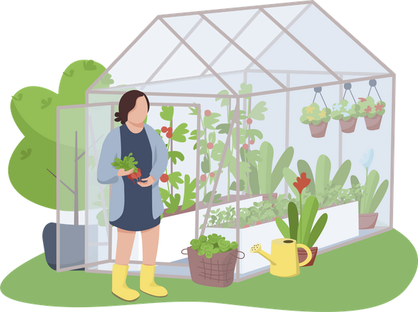 Woman and greenhouse  Illustration