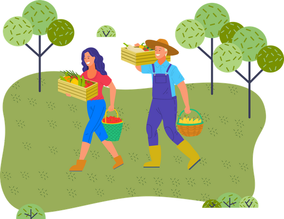 Woman and man farmers with harvest in boxes and baskets  Illustration