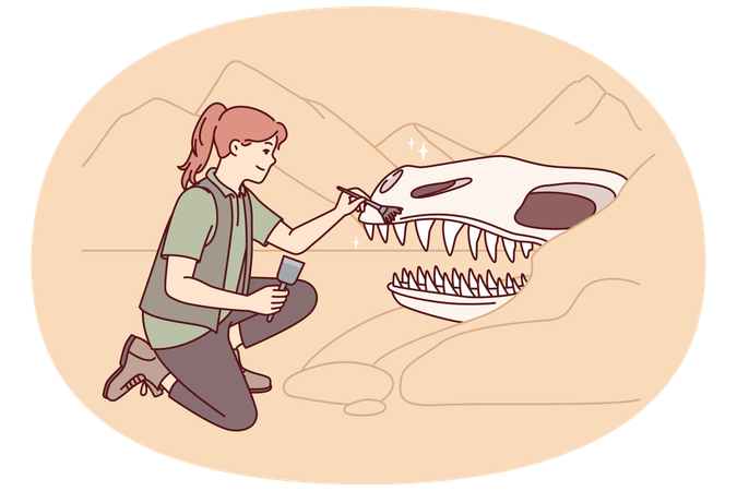Woman archaeologist near giant dinosaur skull cleans head of ancient animal with brush  Illustration