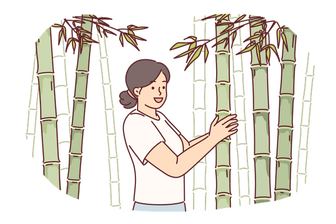 Woman at sugar cane  Illustration