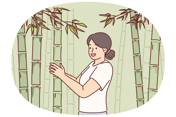 Woman at sugar cane plantation cultivates tropical plants to make sweet syrup for food industry  Illustration
