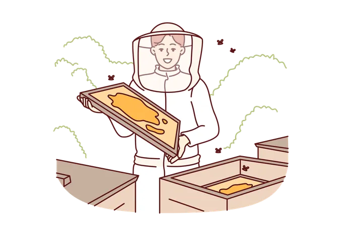 Woman beekeeper stands in apiary  Illustration