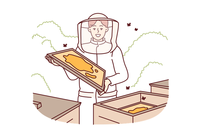 Woman beekeeper stands in apiary  Illustration