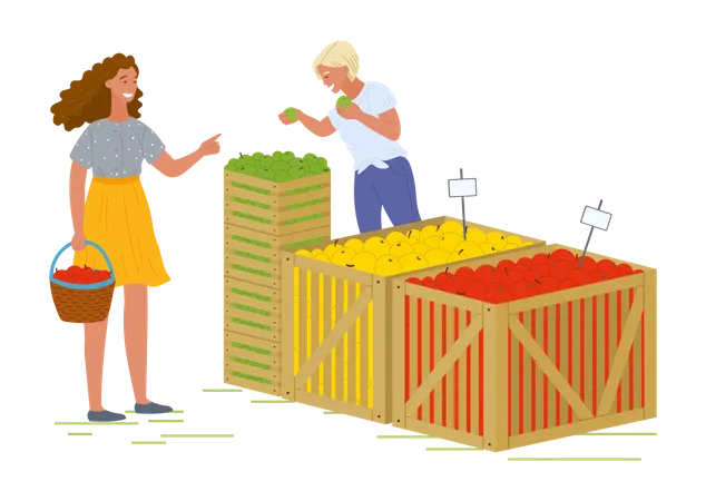 Woman buying fruits from market  Illustration