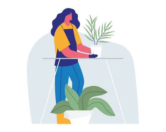 Woman Caring plant Pot  Illustration