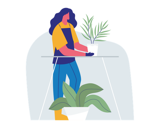 Woman Caring plant Pot  Illustration