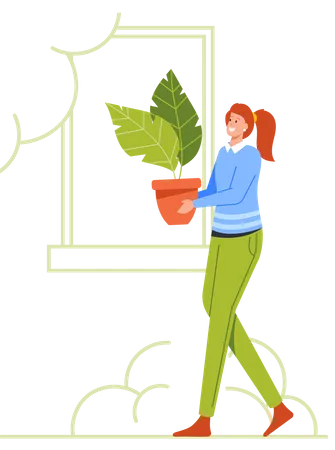 Woman Caring Plant Pot  Illustration