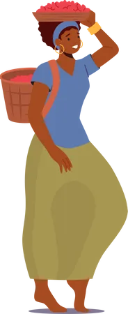 Woman carry coffee beans in the basket  イラスト