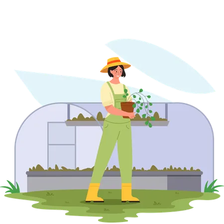 Woman carrying plant pot at Green House  Illustration