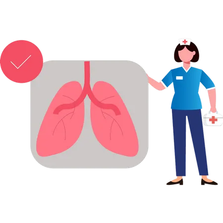 Lungs Are Healthy Illustration