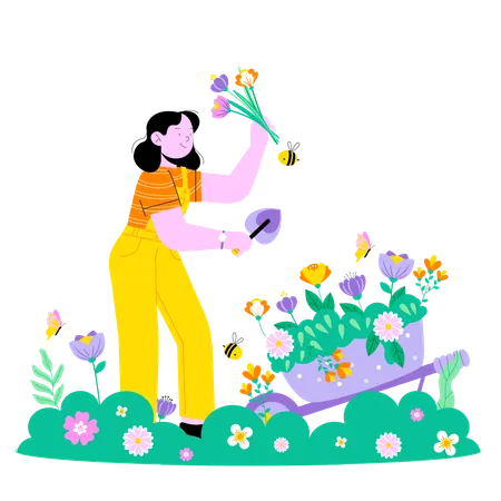 Woman collecting flower  Illustration