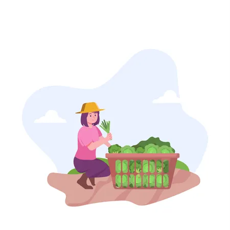 Woman collecting fresh vegetables in basket  Illustration