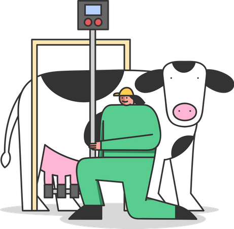 Woman Connecting Milking Machine To Cow  Illustration