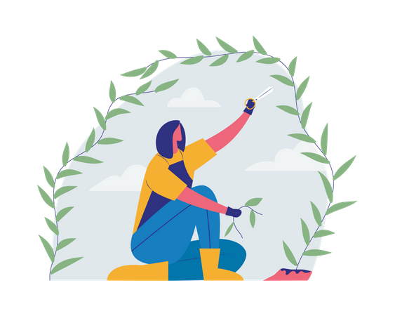 Woman Cutting Plant  Illustration