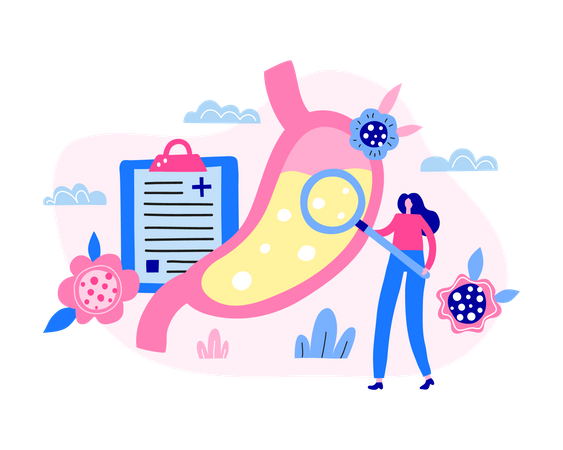 Woman doctor character examine stomach organ  イラスト