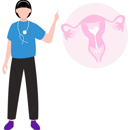 Woman doctor checking vagina  Illustration