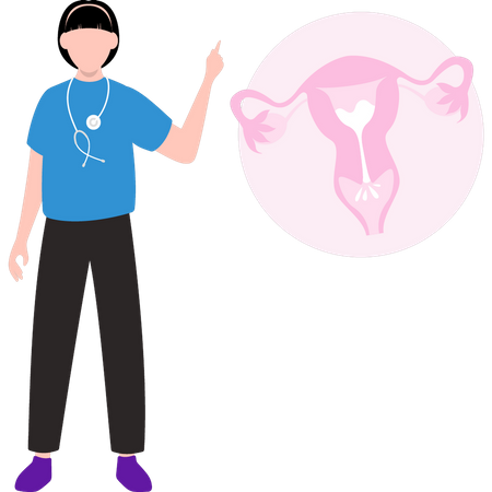Woman doctor checking vagina  Illustration