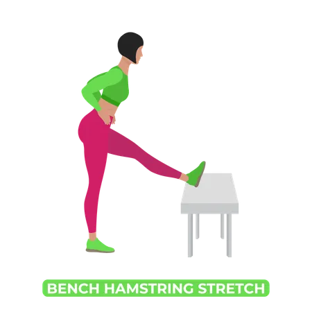 Woman Doing Bench Hamstring Stretch  Illustration