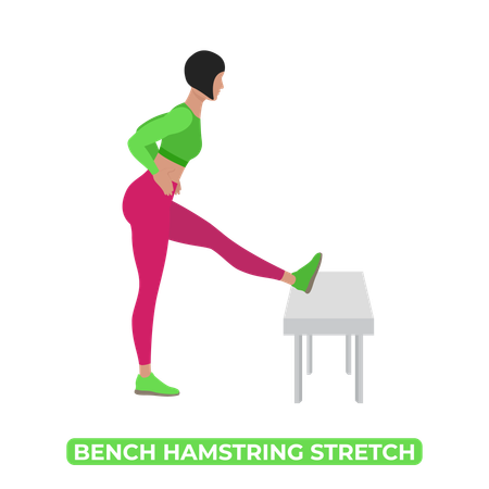 Woman Doing Bench Hamstring Stretch  Illustration