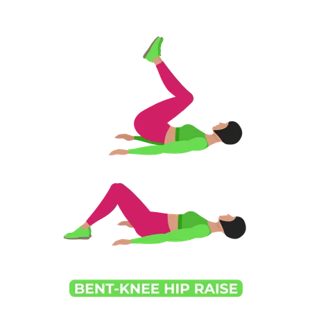 Bent Knee Reverse Crunch Bodyweight Fitness ABS Workout Exercise An Educational Illustration On A White Background Illustration