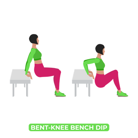 Woman Doing Bent Knee Triceps Bench Dip  Illustration
