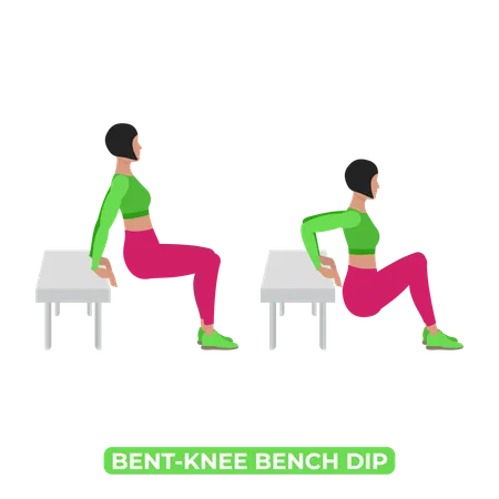 Woman Doing Bent Knee Triceps Bench Dip  Illustration