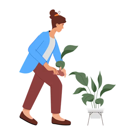 Woman Doing Business Investment  Illustration