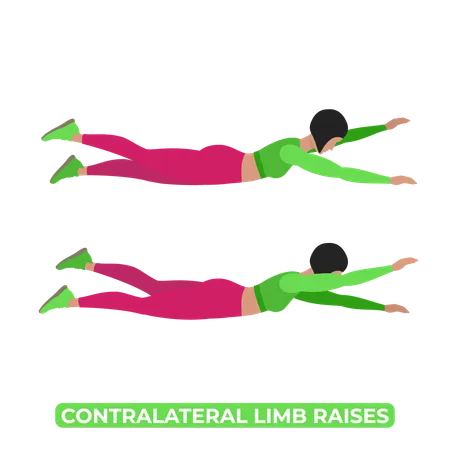 Woman Doing Contralateral Limb Raise  일러스트레이션