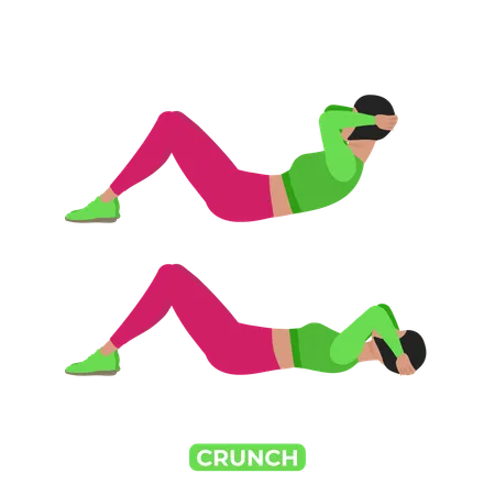 Bodyweight Fitness ABS Workout Exercise An Educational Illustration On A White Background Illustration