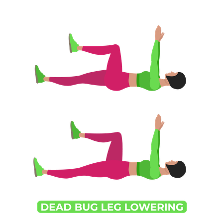 Woman Doing Dead Bug Leg Lowering  Illustration
