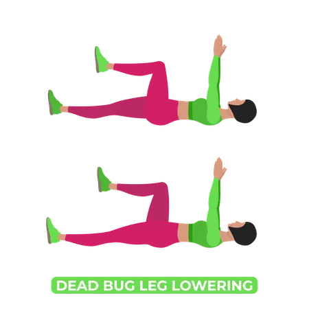 Woman Doing Dead Bug Leg Lowering  Illustration
