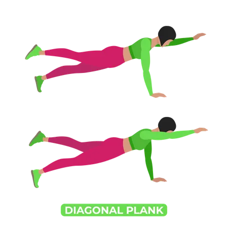 Bodyweight Fitness ABS And Core Workout Exercise An Educational Illustration On A White Background Illustration