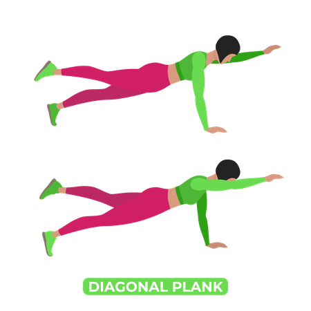 Woman Doing Diagonal Plank  Illustration