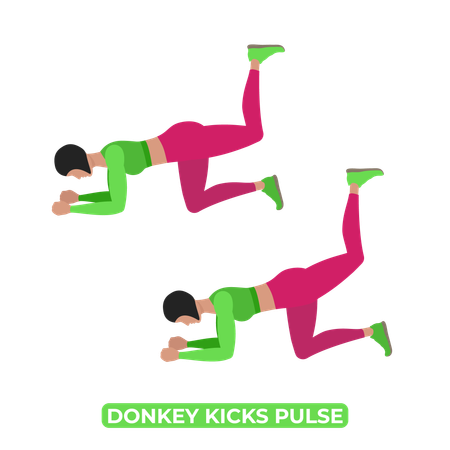 Woman Doing Donkey Kicks Pulse  Illustration