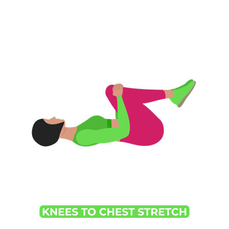 Woman Doing Double Knee To Chest Stretch  イラスト