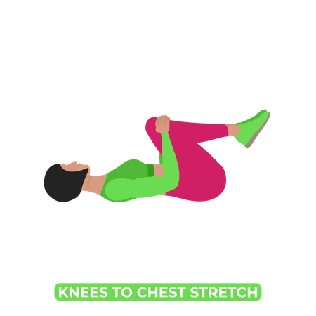 Woman Doing Double Knee To Chest Stretch  일러스트레이션