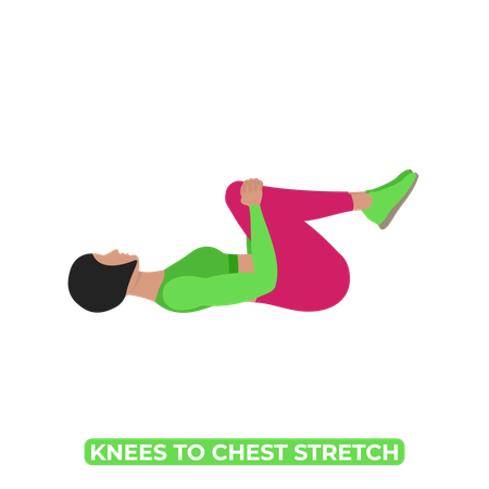 Woman Doing Double Knee To Chest Stretch  Illustration