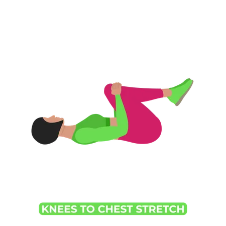 Woman Doing Double Knee To Chest Stretch  Illustration