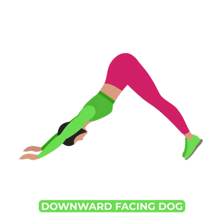 Woman Doing Downward Facing Dog Stretch  Illustration