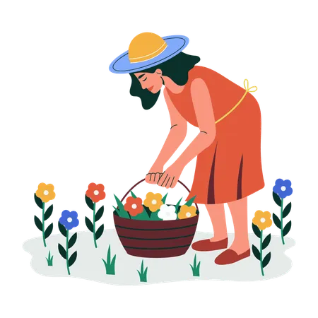 Woman doing flower picking  Illustration