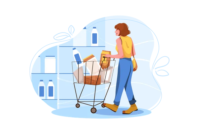 Woman doing Grocery Shopping  Illustration
