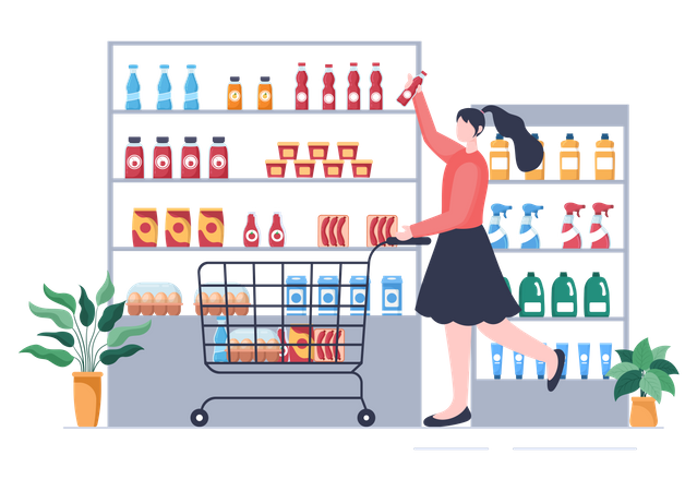 Woman doing grocery shopping  Illustration