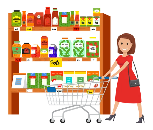 Woman doing grocery shopping  Illustration