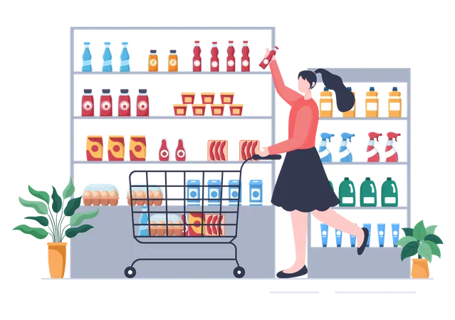 Woman doing grocery shopping  Illustration