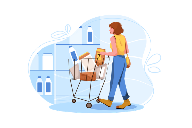 Woman doing Grocery Shopping  Illustration