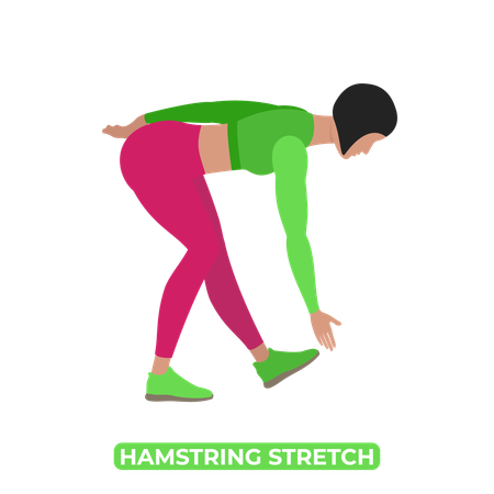 Woman Doing Hamstring Stretch  Illustration