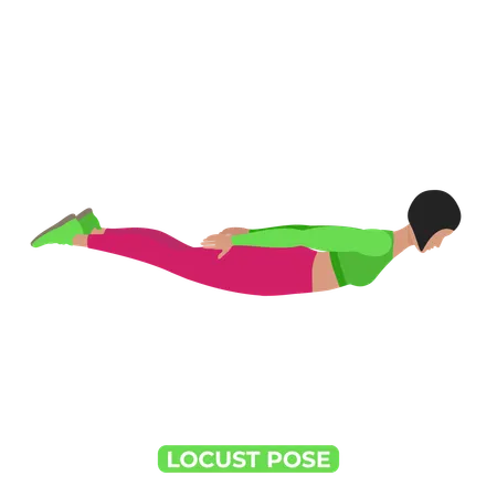 Salabhasana Bodyweight Fitness Back And Core Workout Exercise An Educational Illustration On A White Background Illustration
