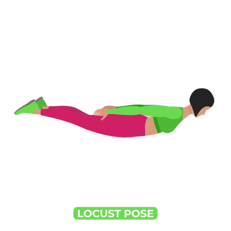 Woman Doing Locust Pose  Illustration