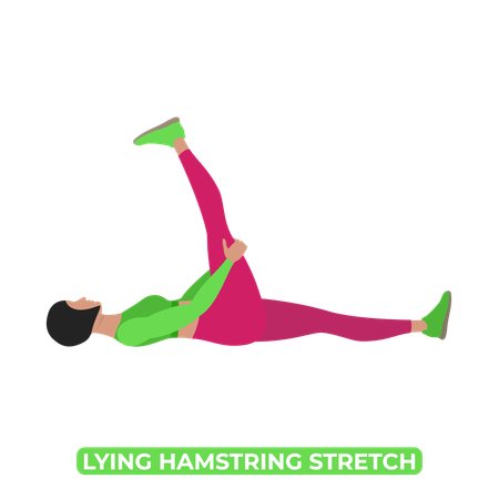 Woman Doing Lying Hamstring Stretch  Illustration