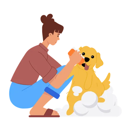 Woman doing Pet Grooming  Illustration